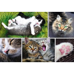 TREFL PUZZLE 1500PCS JUST CAT THINGS-COLLAGE 817-26145